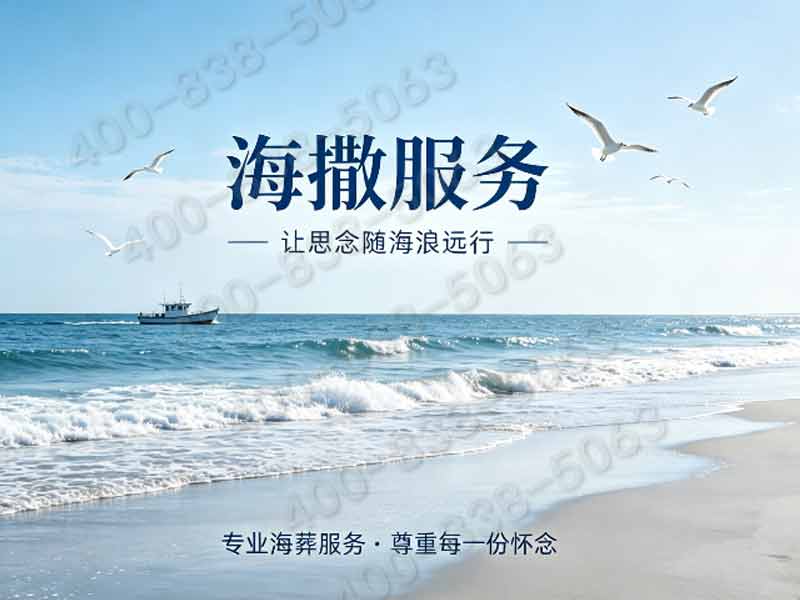 骨灰海撒有什么法律规定及注意事项全解析